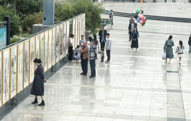 文章图片
