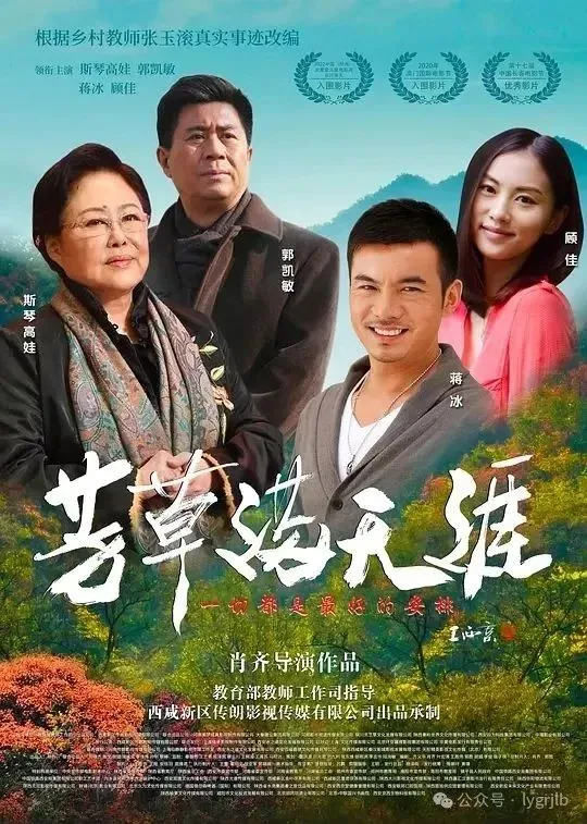 文章图片