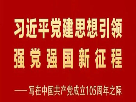 习近平党建思想引领强党强国新征程——写在中国共产党成立105周年之际