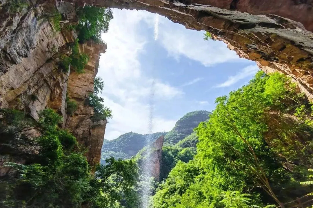 文章图片