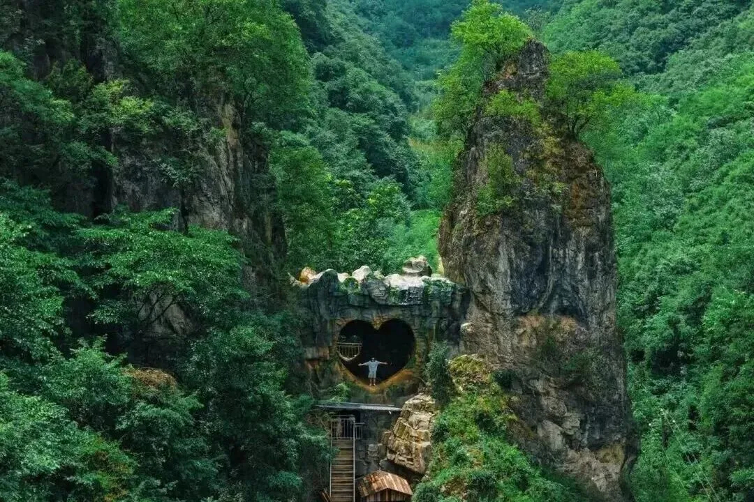 文章图片