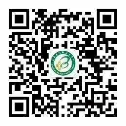 文章图片 文章图片