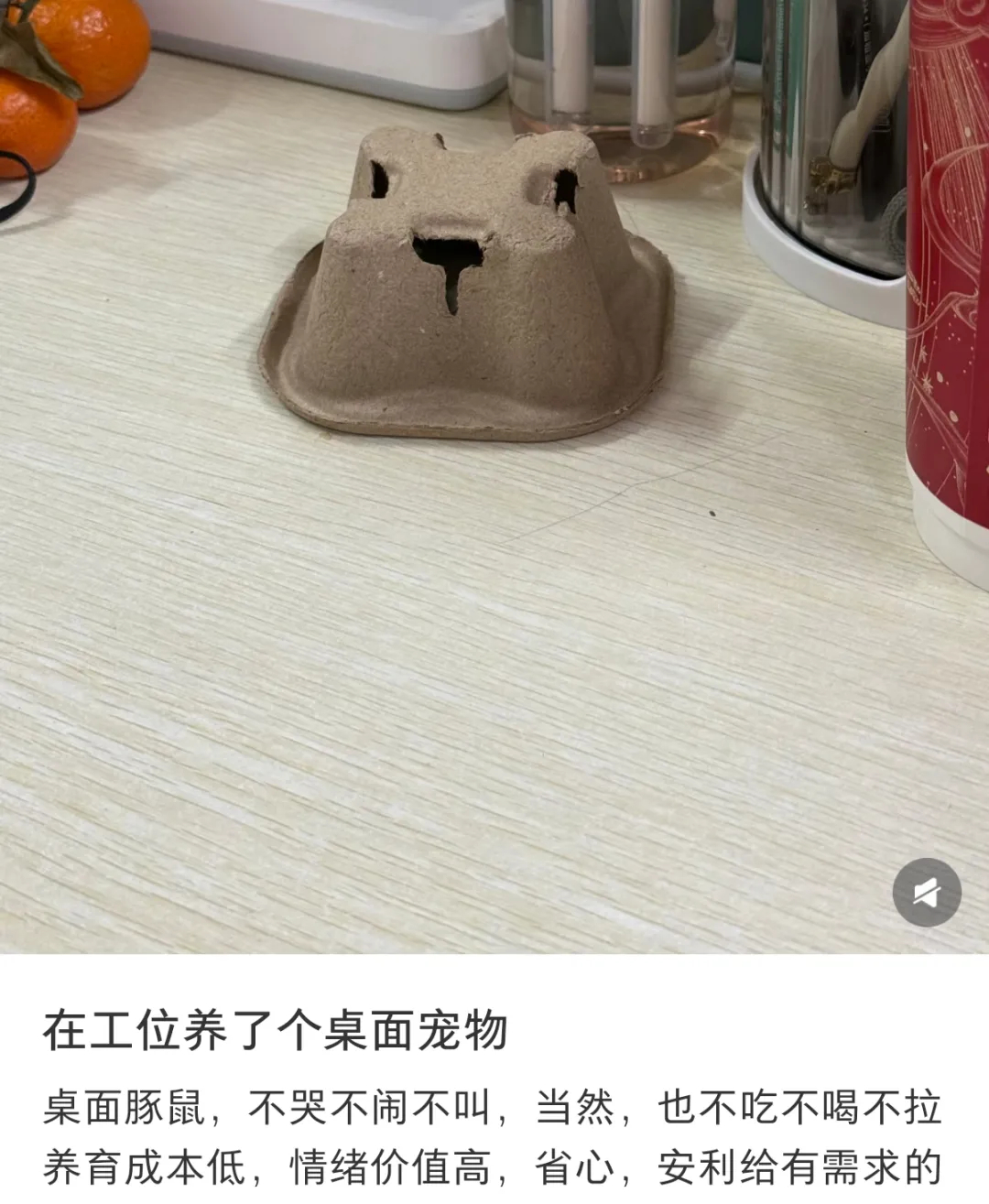 文章图片 文章图片