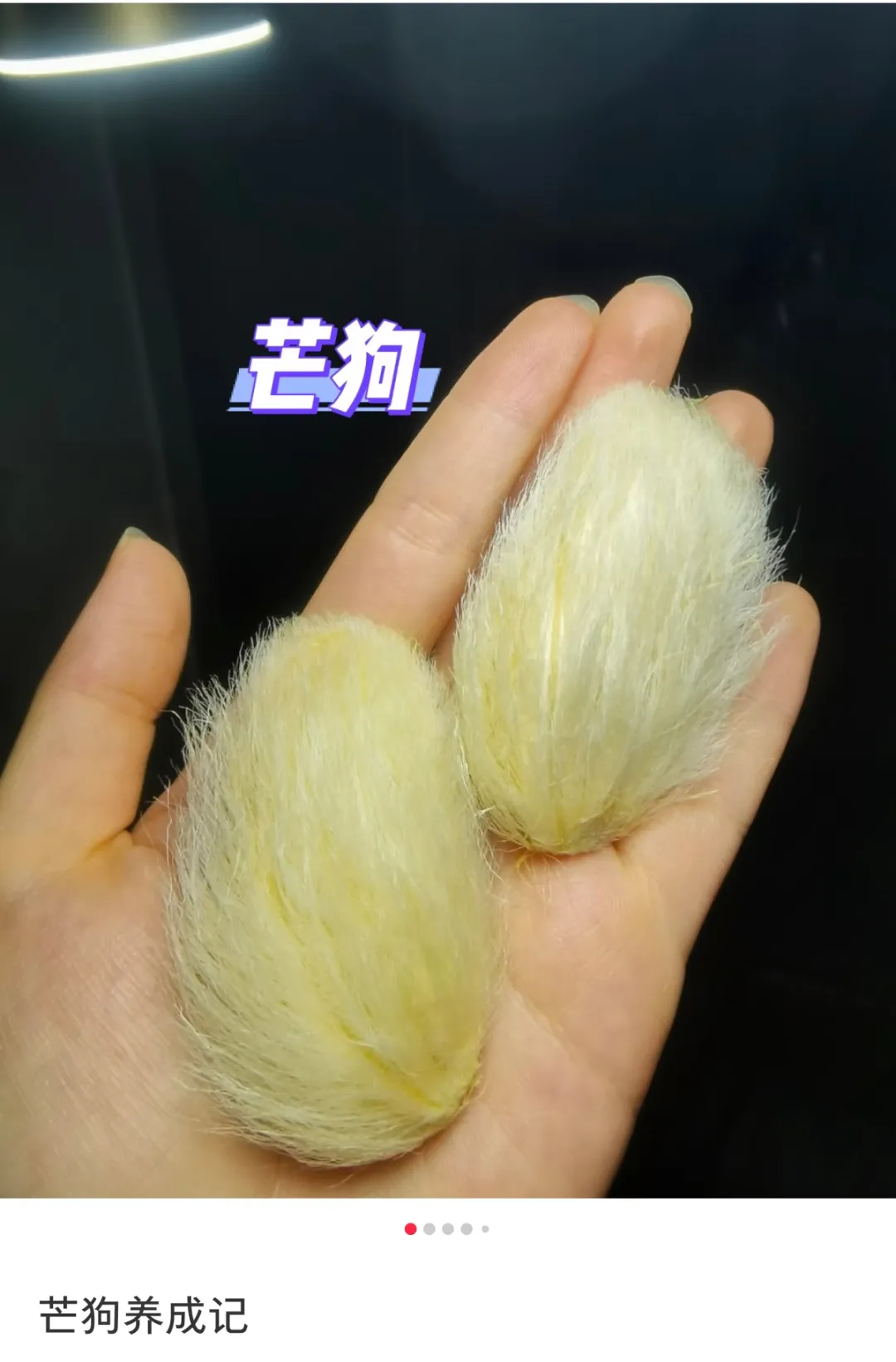 文章图片 文章图片