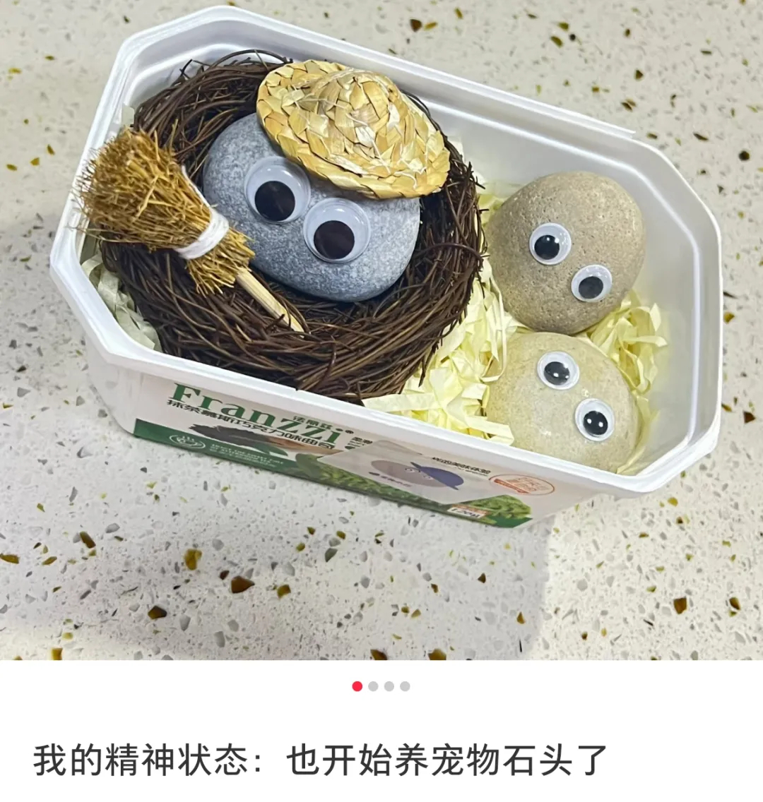 文章图片 文章图片